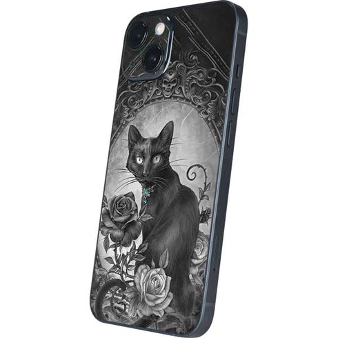 Alchemy Paracelsus - The Philosophers Familiar iPhone 13 Skin